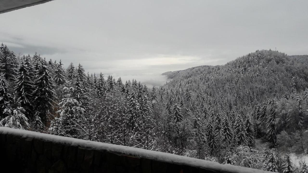 House Jaro & Camp Jaro Pension Velenje Buitenkant foto